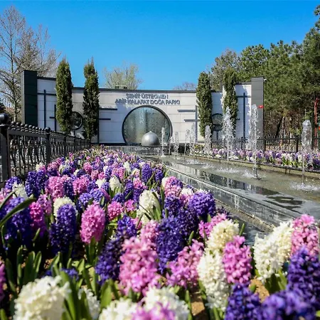 Country , Two Bedroom And Livingroom On Main Street Cekme